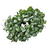 VEVOR Artificial Decorative Wreath 66.04 cm Green Eucalyptus Leaves Year Round V952-ZSHHASYL26IN8WZI3V0