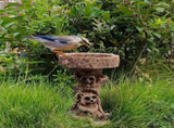 Raccoon Resin Bird Bath Feeder for Garden Decor, Tree Stump Style Outdoor Bird Feeder, 9.8 x 6.6 x V1188-MS-617-087