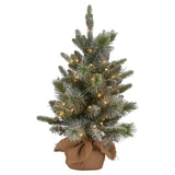 Christabelle 61cm Pre-Lit Snowy Stamford Spruce Battery-Operated Mini Christmas Tree Multi-Func 112_NATSS2