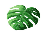 Leaf Flannel Blanket Multi Functional Leaf Shape Blanket for Picnic Office V1294-YM0716-220707DJ02-3