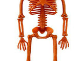 Human Skeleton 35.4in Plastic Realistic Creepy Pumpkin Skeleton for Decoration Prop V1294-YM0901-3115240092011