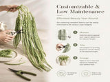 5Pcs Bleached Amaranthus Hanging Flowers, 23" Light Green Dried Preserved Hanging Wisteria Flowers V1192-AZ-W-17956