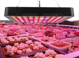300W 100LED Chips Grow Lamp Full Spectrum Plant LED Panel Growing Lights Fixture V1294-YM0901-3111200248313