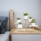 11.8x9Inch 5 Layer Woodden Riser Stands,Plants Home Decorations,Multi Layer Storage Display V1366-AZ2-W-26493