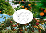 120Pcs 360 Degrees Adjustable Bend Plant Clip Plant Bender for Low Stress Training Plant Training V1192-AZ-W-22329