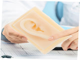 1 Pair Ear Model Manikin Ear Display Sample Display Tools for Ear Anatomy Model Portable Blender V1192-AZ-W-11068