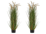 Artificial Grass Plant, 2 Pack 1499mm Horsetail Reed Grass in Pot, Premium PVC Faux Fake Greenery V952-DPKMWCLS59INN4HXO001V0