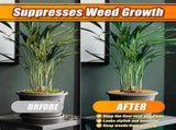 16Pcs Coconut Fiber Tree Ring Mulch Mat, 11.8 Inch Mulch Ring Plant Protectors Mat for Indoor V1370-AZ4-07506