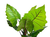 Nearly Natural Artificial Taro Elephant Ear Palm 170cm V637-DP75276