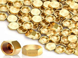 100 Pack Brass Compression Cap, Stop Value Caps, Drain Pipe Fittings for Hose Connector Nozzle V1259-DP01-A-1019