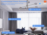 4 Pack Smart Socket 2.4GHz WiFi Only TY APP Remote Smart Sharing 16A Smart Plugs with Voice V1294-YM0901-HS7087
