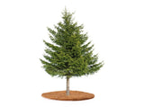 Coconut Fiber Mulch Ring 13.77 Inch Tree Protector Mat Plant Cover Ring for Nurseries Gardens V1294-YM0901-210329AH0250