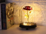 24K Gold Plated Rose Flower LED Light with Glass Cover Base Valentines'Day Wedding Gift Red V1294-YM0727-JY15089-01