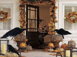 Black Crow Decoration Halloween Realistic Feathered Crows Haunted House Decor for Party Decoration V1294-YM0717-10061730