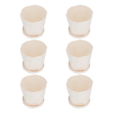 6Pcs Small Plant Pot Lightweight Versatile Simple Style Plastic Flower Pot with Trays for Indoor V1294-YM0901-3111240201811