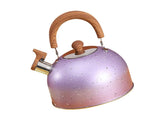 Water Kettle, Stainless Steel Whistle Kettle, Large Capacity Flat Bottom for Gas Induction, 2L, V1263-JX-3009