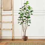 SOGA 180cm Plastic Potted Polyscias Scutellaria Plant Home Garden Artificial Tree, Home Decor APLANTFHJQD18080