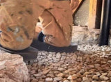 Self standing ladder knee pads are lightweight work knee pads suitable for attic crawling V1366-AZ2-W-14378