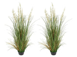 Artificial Grass Plant, 2 Pack 1194mm Reed Flower Grass in Pot, Premium PVC Faux Fake Greenery V952-DPKLWHLS47INM48C5001V0