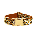 XL Luxury 5 Piece Dog Harness and Collar Set Leopard Print with Leash Bow Tie & Waste Bag Holder V888-ELOSUNG38966