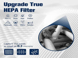 2 Pack 311 Auto Filters Replacement, Compatible with Blueair Blue Pure 311 Auto Air Purifier, 2 in 1 V1258-DP02-C-1174