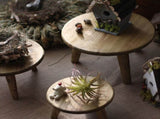 Desktop Decorative Storage Stool Balcony Flower Rack Wooden Flower Pot Stand Garden Ornaments Sundry V1294-YM0523-211021SH03-3