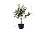 Potted Artificial Olive Tree 65cm V637-05069TRE