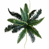 Artificial Dark Green Boston Fern 60cm V637-DP1890013