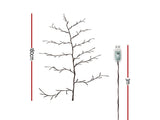 Jingle Jollys Christmas Willow Vine Lights Branch LED Fairy DIY Wall Decor 1.8m Warm White XMAS-MOT-BRANCH-GD