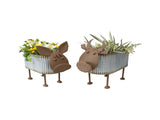 Set 2 Nested Cow Planters 45cm, 40cm V637-13256COW