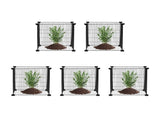5 Pack Plant Protector from Animals, 390 mm x 390 mm Chicken Wire Plant Protector, Plant Cages for V952-QBWZCL14YCHSHLKV6V0