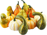 12 Pcs Artificial Pumpkins and Gourds Set, Small Faux Foam Pumpkins Artificial Vegetables for V1188-ZC-LHJ-12
