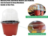 25 Pack Seedling Pots with Lids 9x14cm Reusable Mini Greenhouse Grow Trays for Propagation V1258-DP02-BOL-805