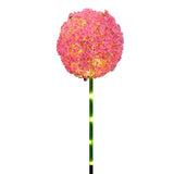 Solar Ball Light Outdoor Waterproof Garden Flower Spot Light Decorative for Courtyard Pink V1294-YM0901-3119240056911