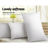 Giselle Bedding Duck Feather Down Pillow Twin Pack PILLOW-DFD-X2