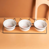 Triple Slanted Ceramic Pet Bowl Set with Elevated Iron Stand and Non Slip Base - 3 x 300ML Versatile V888-ELOSUNG49879