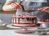 Premium Aluminum Alloy Cake Turntable Set with 3 Icing Scrapers, Offset & Silicone Spatulas, V1107-CS-LHJZTDG