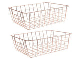 Freezer Basket Rust Proof Large Capacity Iron Storage Bin for Refrigerator Fruits Snacks Drinks 2pcs V1294-YM0901-3117230240513