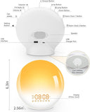 Sunrise Alarm Clock Wake Up Light 7 Sounds, Dual Alarms, Snooze, FM Radio V413-SUNSHINE ALARM