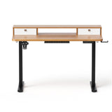 Artiss Electric Standing Desk Height Adjustable Home Office 120cm Oak HASD-ET156E-SHELF-BKWD-AB