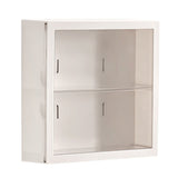 Wall Mounted Showcase Blind Box Figures Display Case Handicraft Storage Display Rack Dust Proof Doll V1294-YM0703-3117230124611