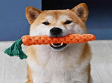 5 Pack Dog Chew Toys - 100% Cotton Material - Durable Bite-Resistant for Teeth Cleaning and V1258-DP02-BOL-58