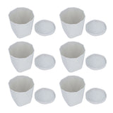 6Pcs Small Plant Pot Lightweight Versatile Simple Style Plastic Flower Pot with Trays for Indoor V1294-YM0901-3111240201812
