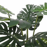 Split Philodendron Monstera Deliciosa 120cm V637-DP1089085