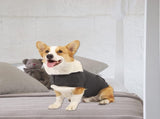Dog Jacket, Skin-Friendly Dog Calming Vest - Dog Shirt for Thunder, Fireworks and Separation - Keep V1189-WXFWAL-20260319-01205