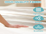 Garden Cotton Hammock Comfortable Fabric Hammock with Spreader Bar Sturdy Hammocks Up to 450lbs V1258-DP02-C-931