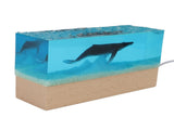 Night Light Simulated Marine Landscape USB Powered White Lighting Multi Purpose Decorative Ambient V1294-YM0901-3119250009611