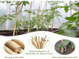 20Pcs Plant Stakes with 1 Pack Ties,17.8in Longer Sturdy Natural Bamboo Garden Stakes,Bamboo Sticks V1192-AZ-W-17350