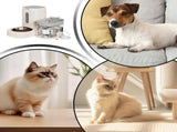 Automatic Cat Feeder and Water 2-in-1 Pet Automatic Fountain Food Bowl Spill-Proof Cat Waterer for V1107-134-35378-GRY