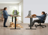 FORTIA Sit to Stand Standing Desk, 160x60cm, 72-118cm Electric Height Adjustable, Walnut Style V219-ADKSSTFO6WLKB